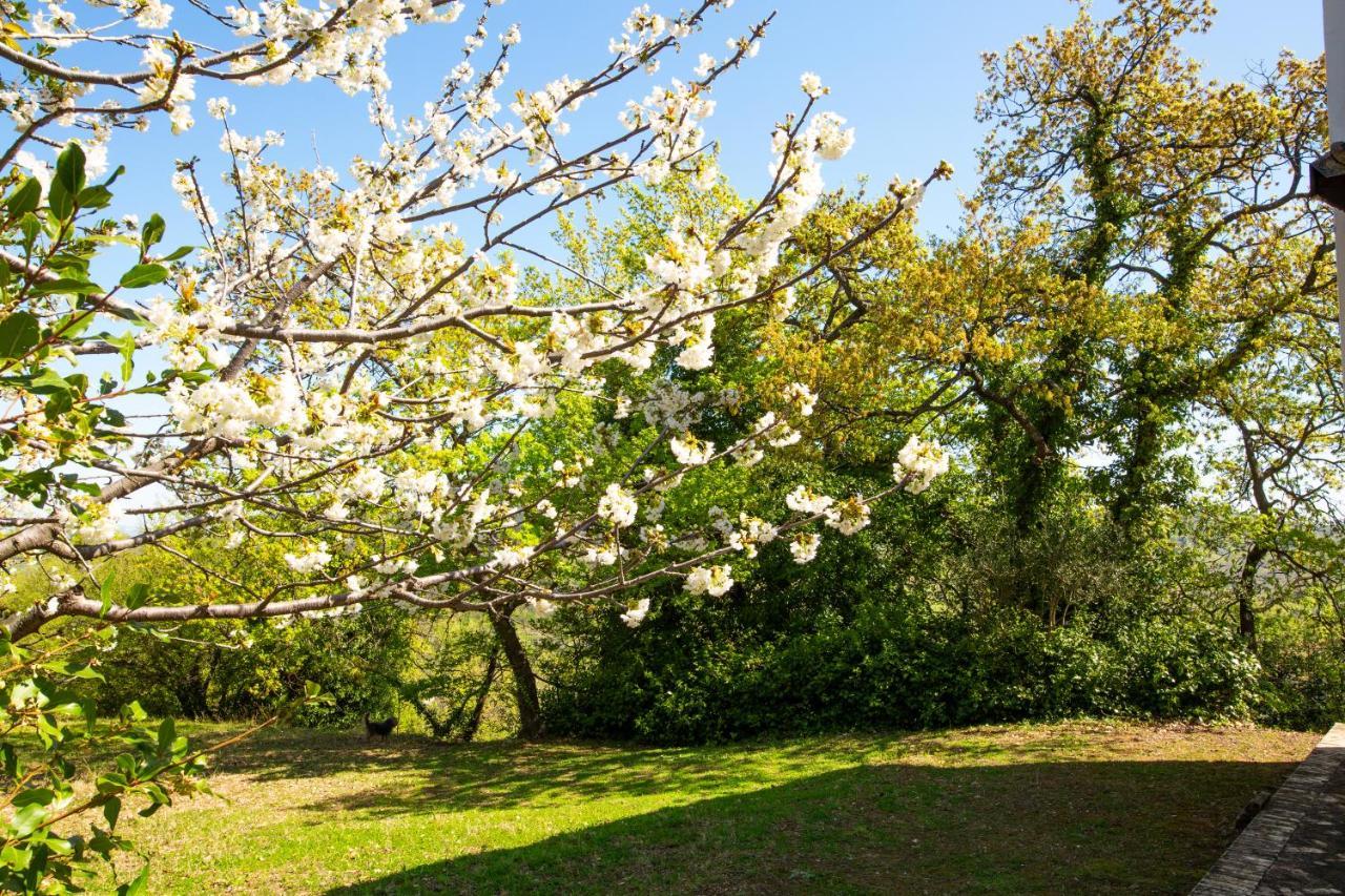 Villa Pardi Manoppello Bagian luar foto